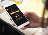 Fair Fires Tru Vizion Solution Stove